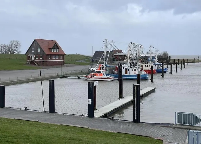 Сasa de vacaciones Eul J 4 Comfortable